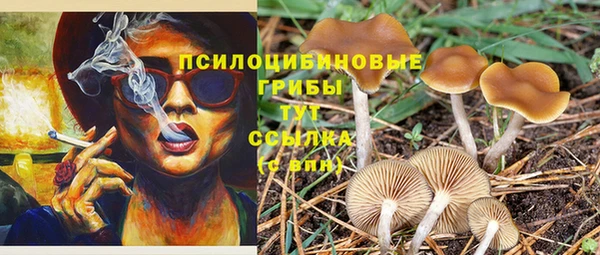 PSILOCYBIN Богородицк